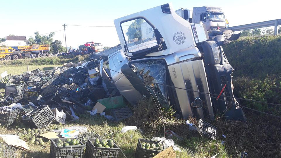 36381991_1496942600411738_4156579794705711104_n 3