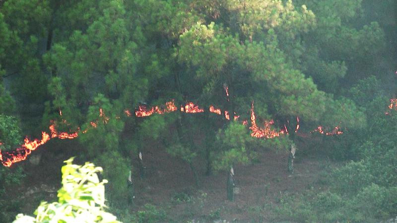 images.thumb.ecf96ecc-0142-4471-b4c5-760ce7dd96b5