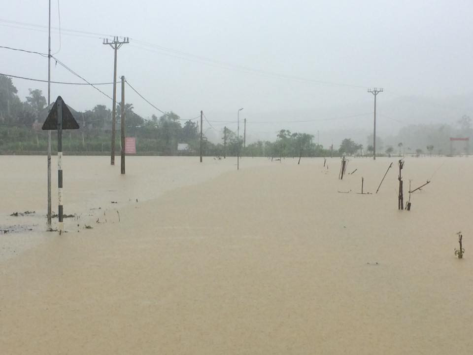 37240701_1853087245000673_7341052106272407552_n