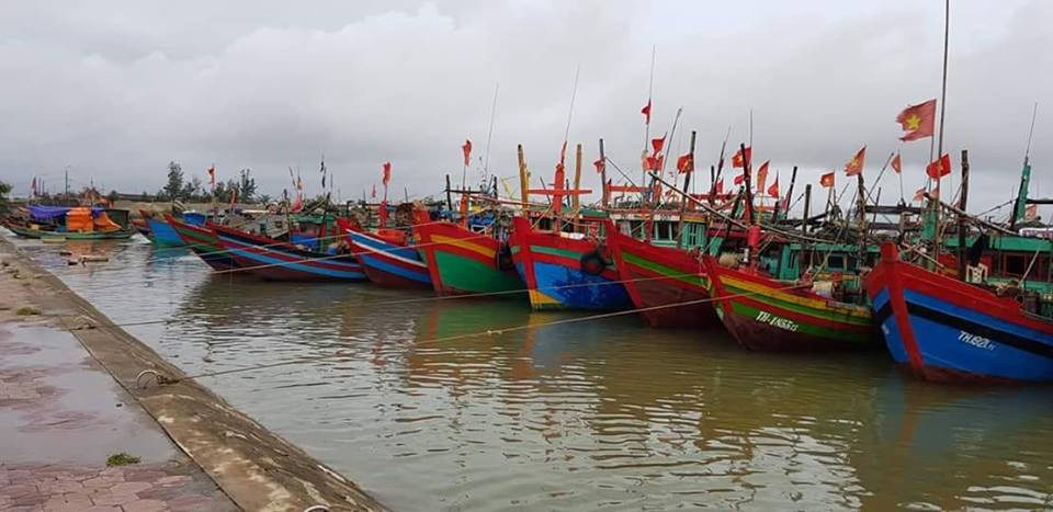 37331068_1714616538645868_5810512245163032576_n