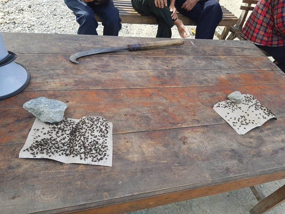 38867373_2662571433967152_3201112908951977984_n 3