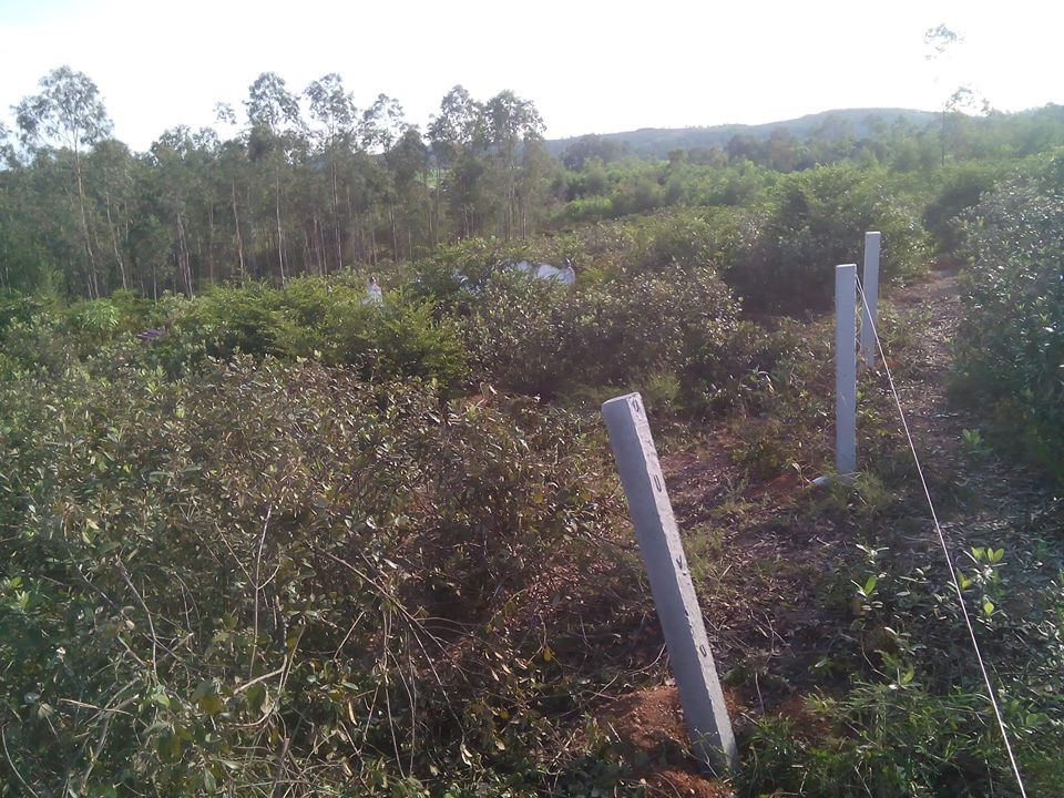 39038957_1840697582685809_1339315251232899072_n 6