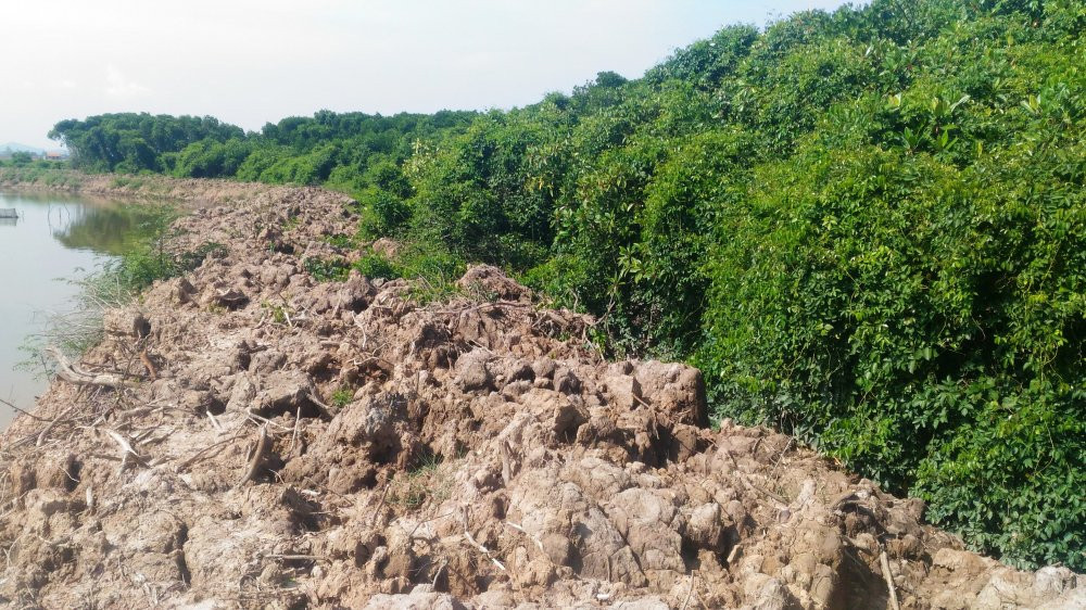 xe-thit-rung-ngap-man-nuoi-tom