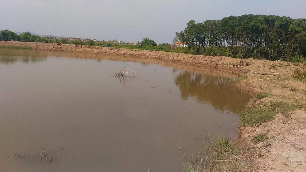 xe-thit-rung-phong-ho-nuoi-tom-5