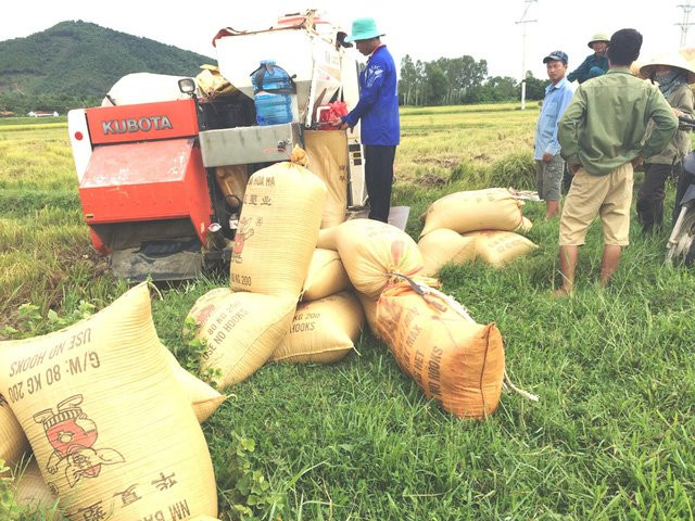 img-4084-1-1473094154365