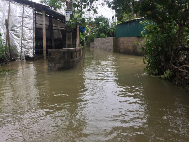 21767601_10209137389266717_239475169_n 3