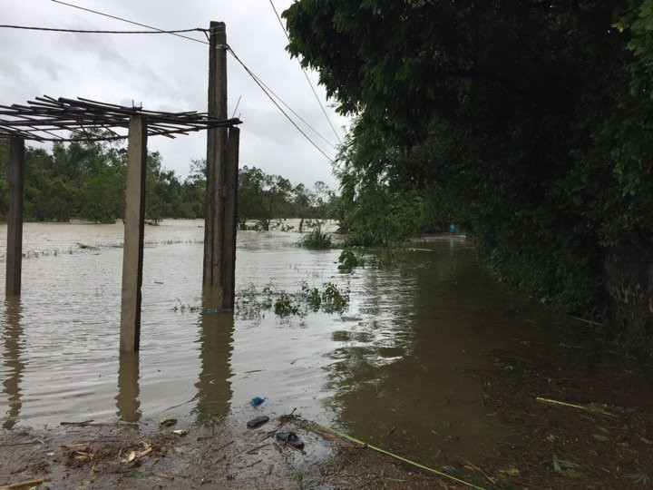 21767847_10209137077618926_540356928_n 6