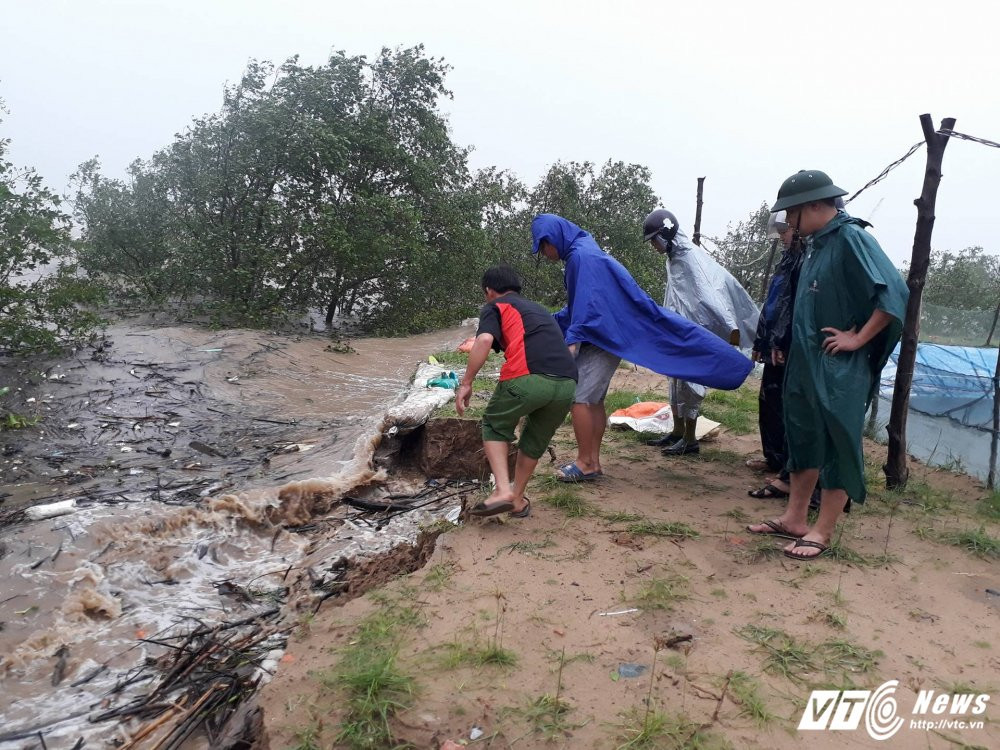 21618318_1125792650889067_1235069653_o-7-1540457 8