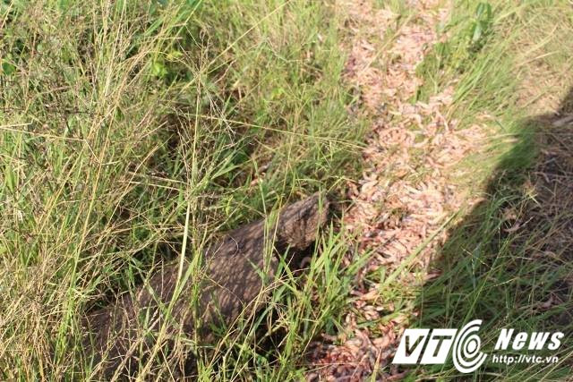 21903718_883689931785321_2002169128_n-5-1538574 (1) 9