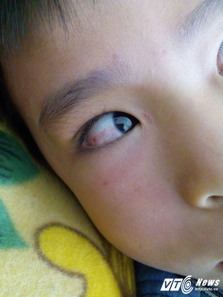 22788942_163347774253228_9106891551432361571_n 7