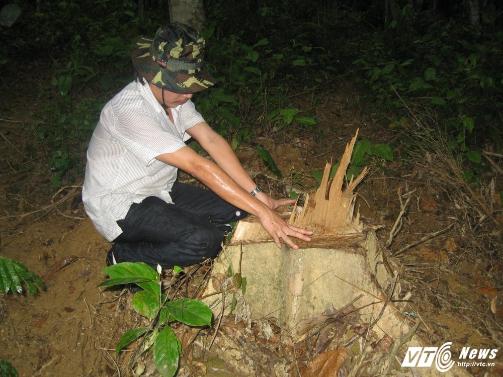 Recovered_JPEG Digital Camera_298