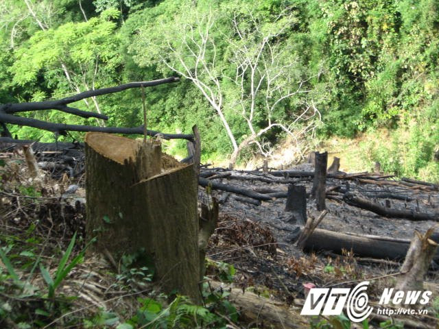 Recovered_JPEG Digital Camera_499