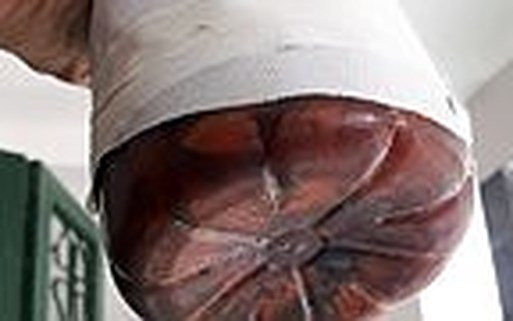 bnactuvongdoruouanhhophuong884610391332018_nojf6881137_1932018