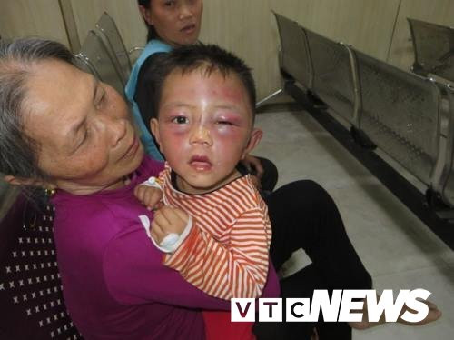 29572279_2041228309421977_2961892302504293597_n