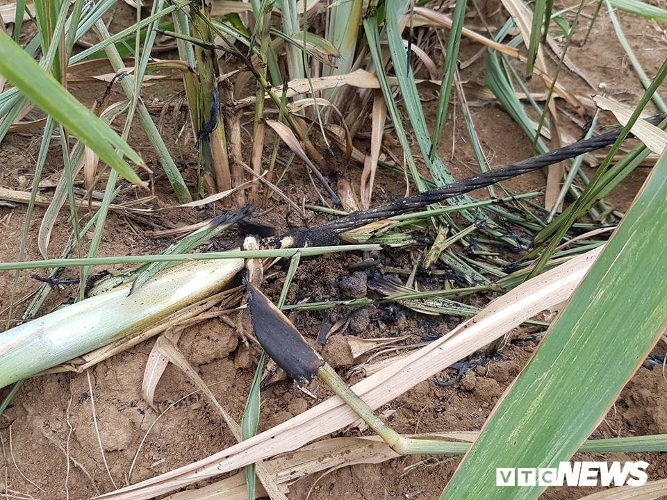 36222952_986659034828055_4152518752803487744_n 3