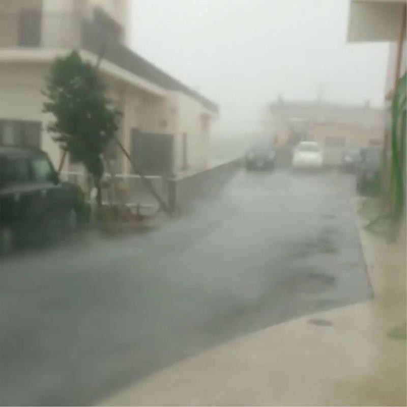 dai-loan-bao-talim-2