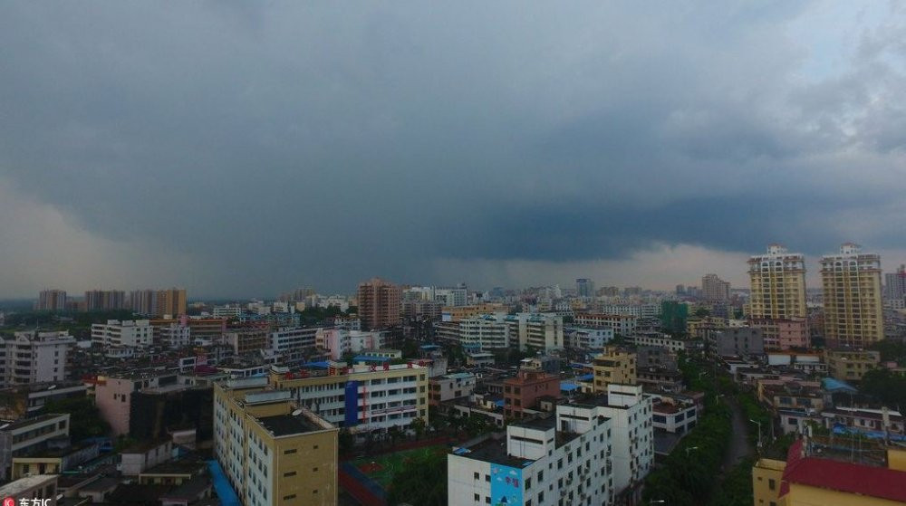 dai-loan-bao-talim-5 3