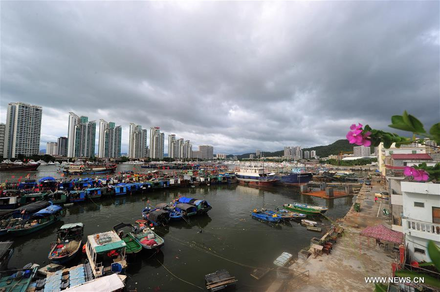 talim-doksuri-trung-quoc-3 3