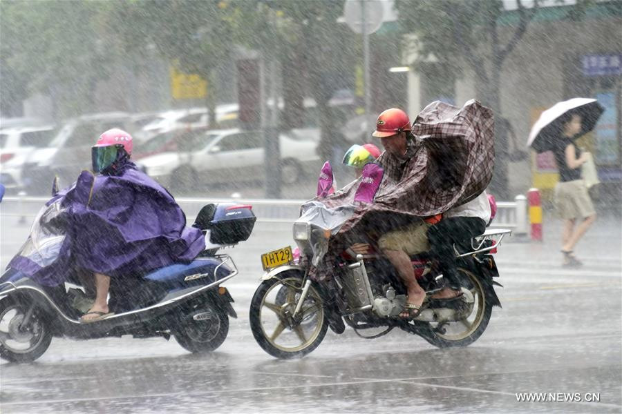 talim-doksuri-trung-quoc-4 3