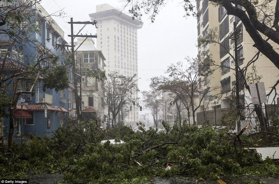 bao-maria-puerto-rico-7 3