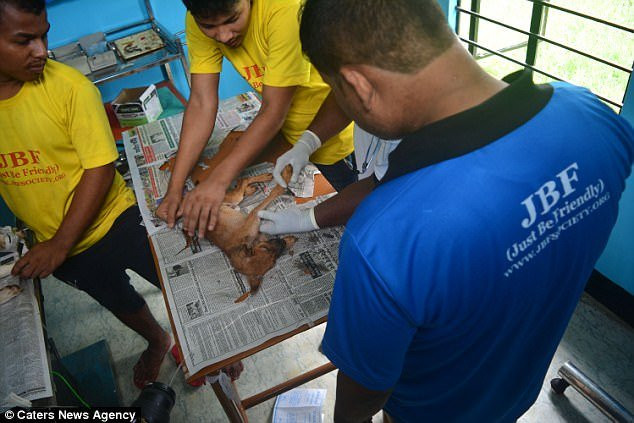 giai-cuu-cho-an-do-3