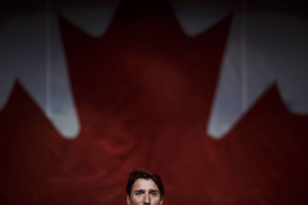 anh-chinh-tri-2-bloom