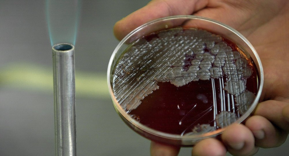 vi-khuan-benh-than-1