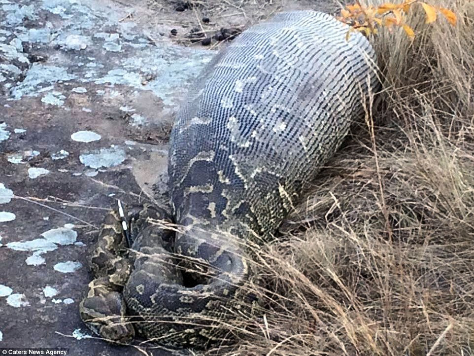 tran-nhim-chau-phi-4 3