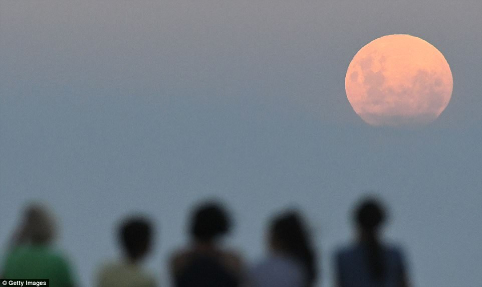 trang-mau-10-newzealand 3