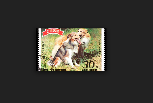 tem-trieu-tien-11 12