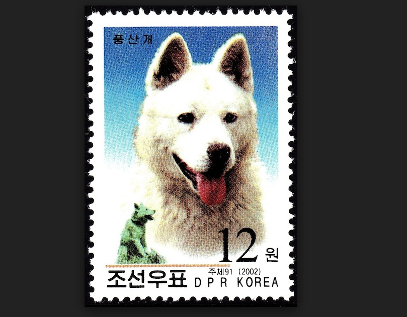 tem-trieu-tien-13 15