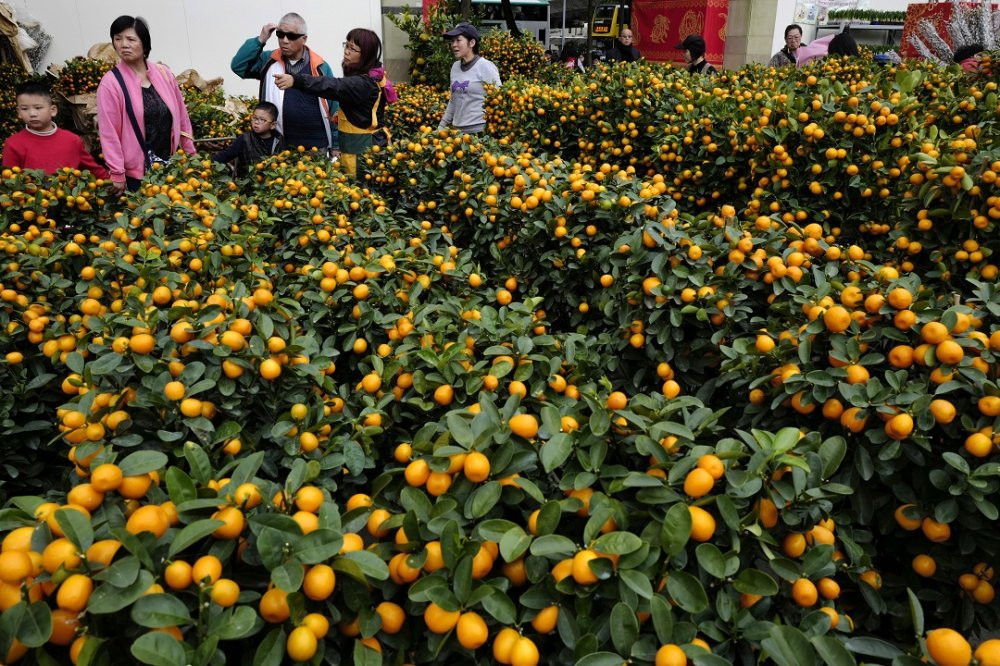 tet-am-lich-hongkong-1 4