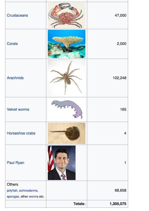 paul-ryan-wiki-1