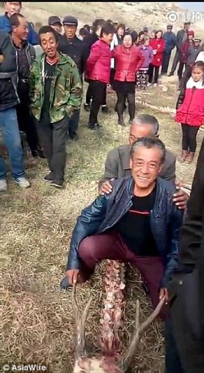 xuong-rong-bi-an-5 3