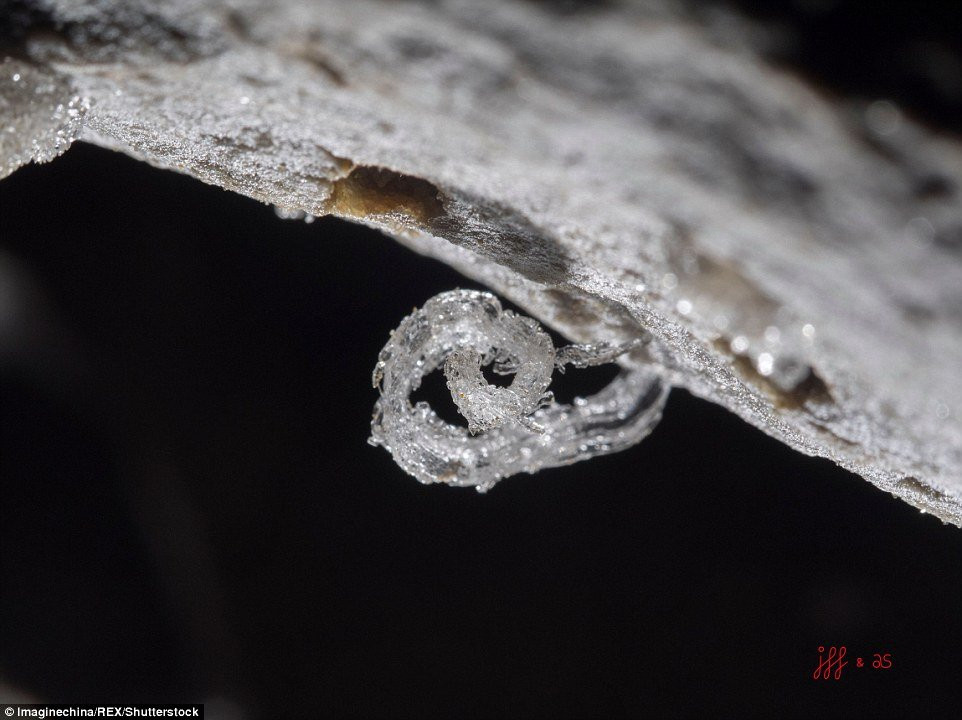 hang-dong-dai-nhat-chau-a-3 3