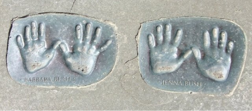 khu-vuon-bi-mat-nha-trang-11 11