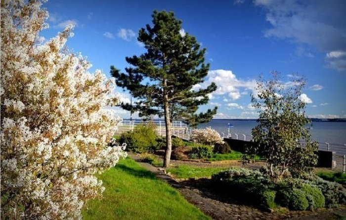 sinh-vat-ky-la-bo-song-anh-3 4