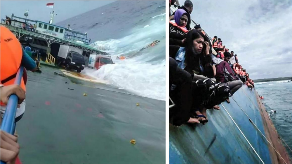 chim-tau-indonesia-164-1