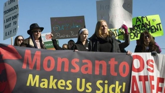 monsanto-1 (2)