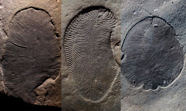 dong-vat-lau-doi-nhat-the-gioi-1