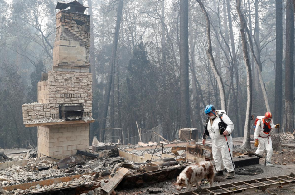 chay-california-1000-2