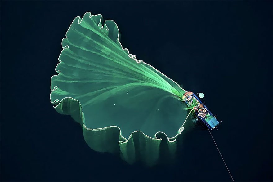 drone-1 3
