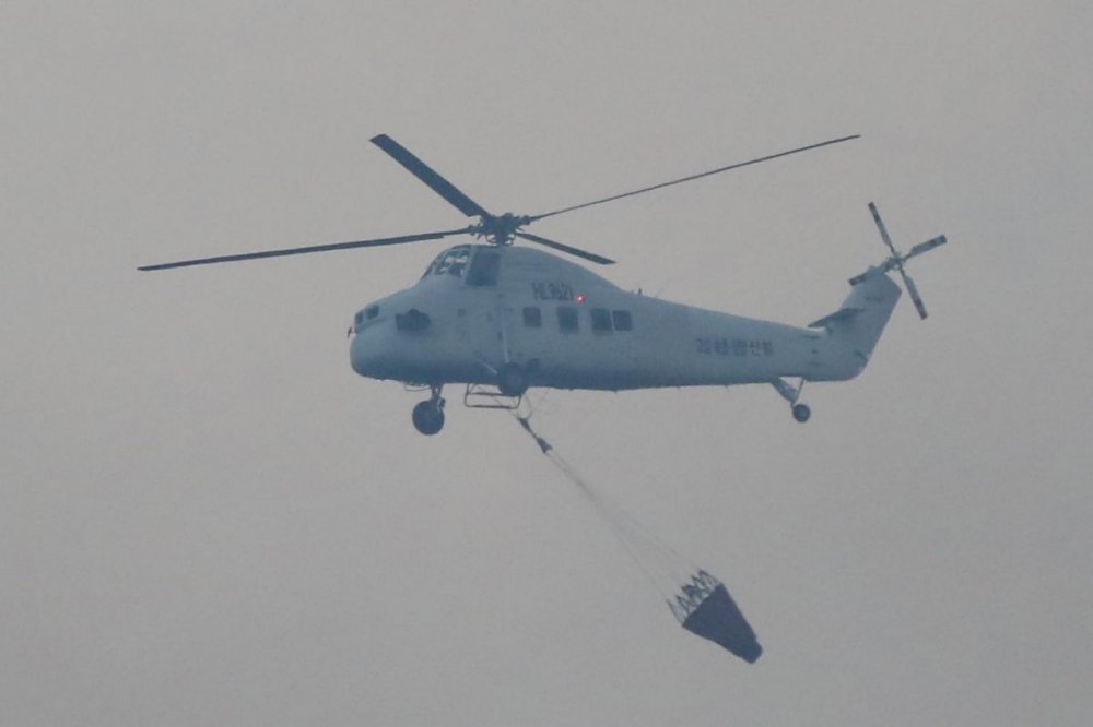 chay-rung-han-quoc-12 33