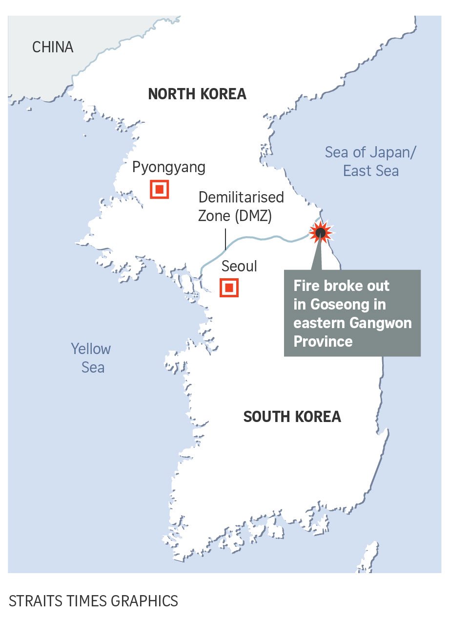 chay-rung-han-quoc-bando 25