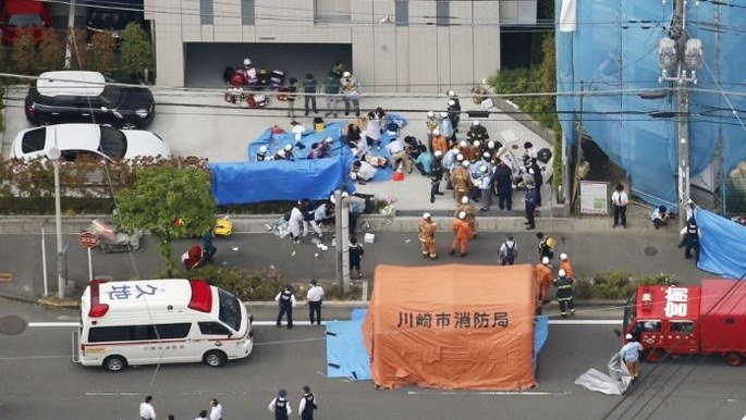 dam-dao-nhat-ban-1_685x386