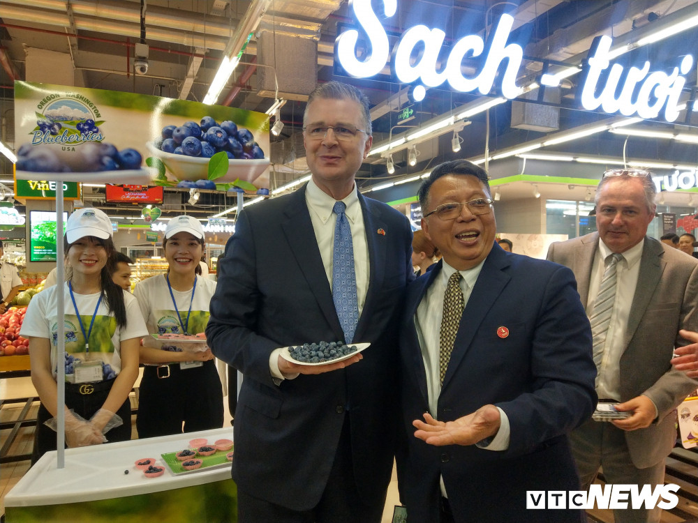 dsumy-vinmart-blueberry4 4