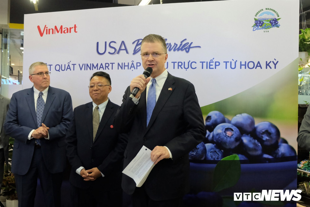 dsumy-vinmart-blueberry5