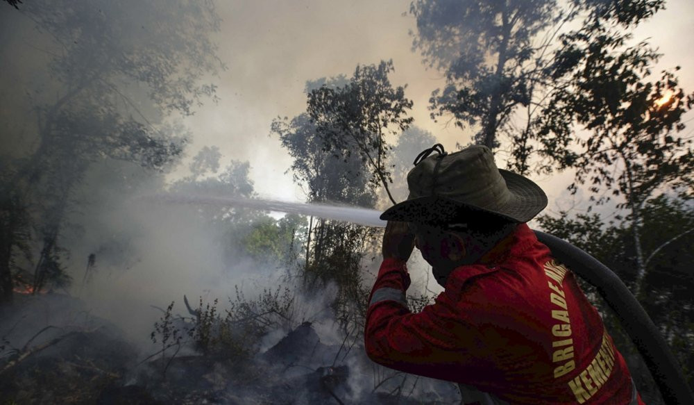 chay-rung-indonesia3 4