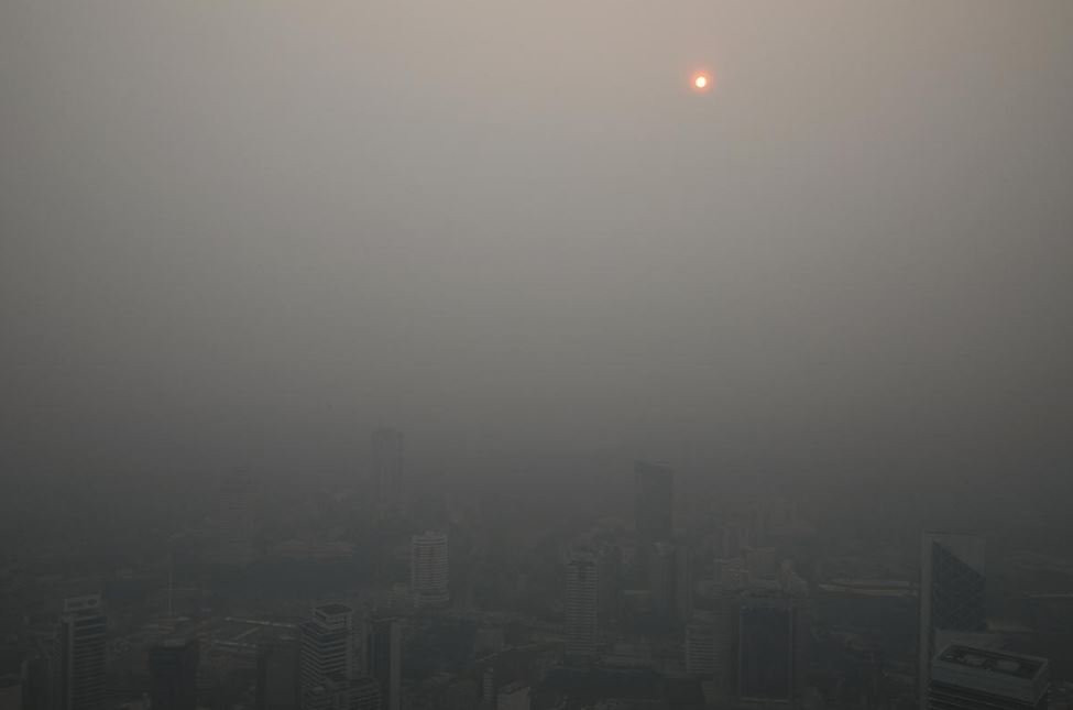 chay-rung-indonesia-malaysia-2