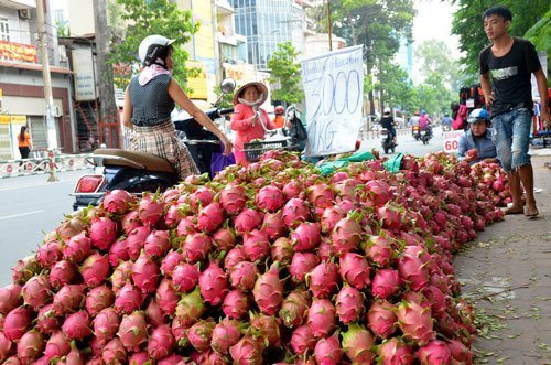 thanhlong